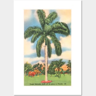Florida Tropics postcard Posters and Art